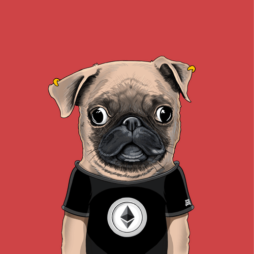Pug #0089