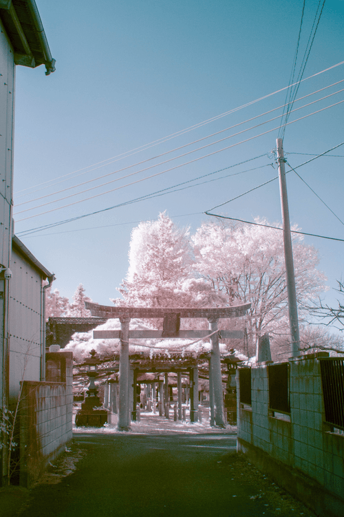 The Gate to Peachland