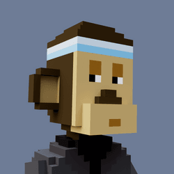 Voxel Portraits collection image