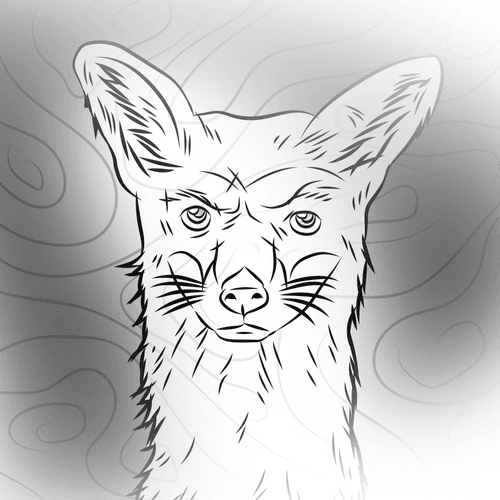 Angry Fox #31
