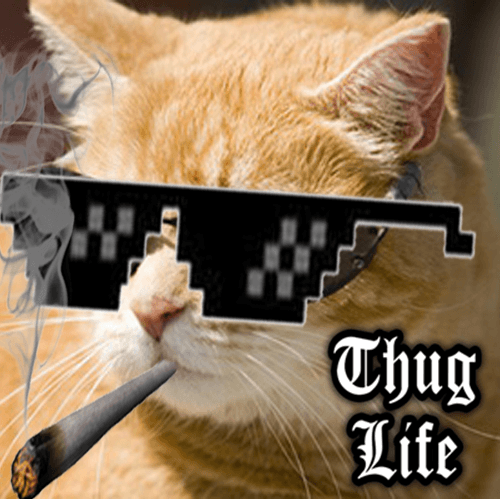 Thug Life Cat 1# - Thug Life NFTs 1# | OpenSea