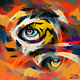 Eye of The Tiger!!! - old