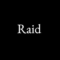 Raid Project collection image