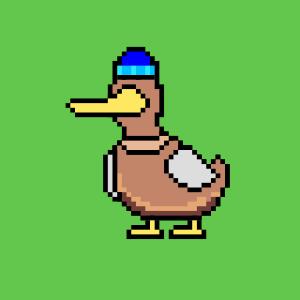 Duck #47