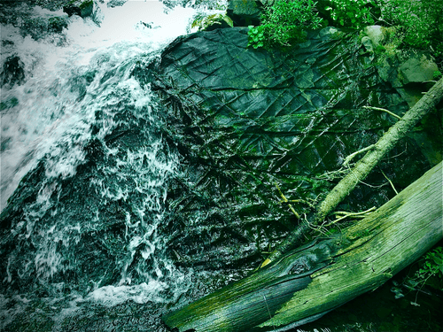 Geometry in Nature