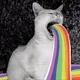 CAT Rainbow - old