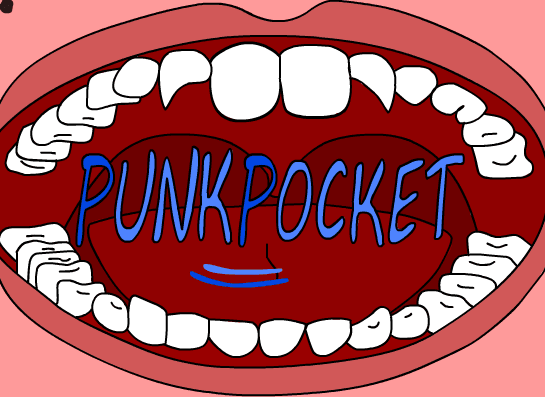 PunkPocket 横幅