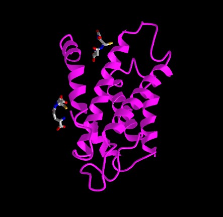 BIO-NFT Human protein