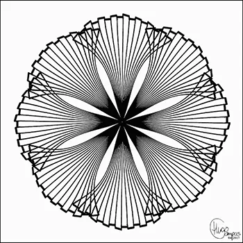 Moire Patterns
