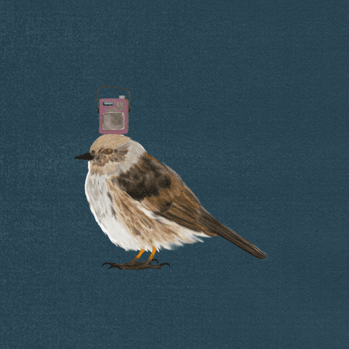 act one. listen bird.