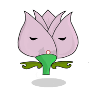 Tulipa chroma