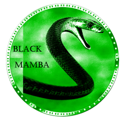 Black Mamba Coin collection image