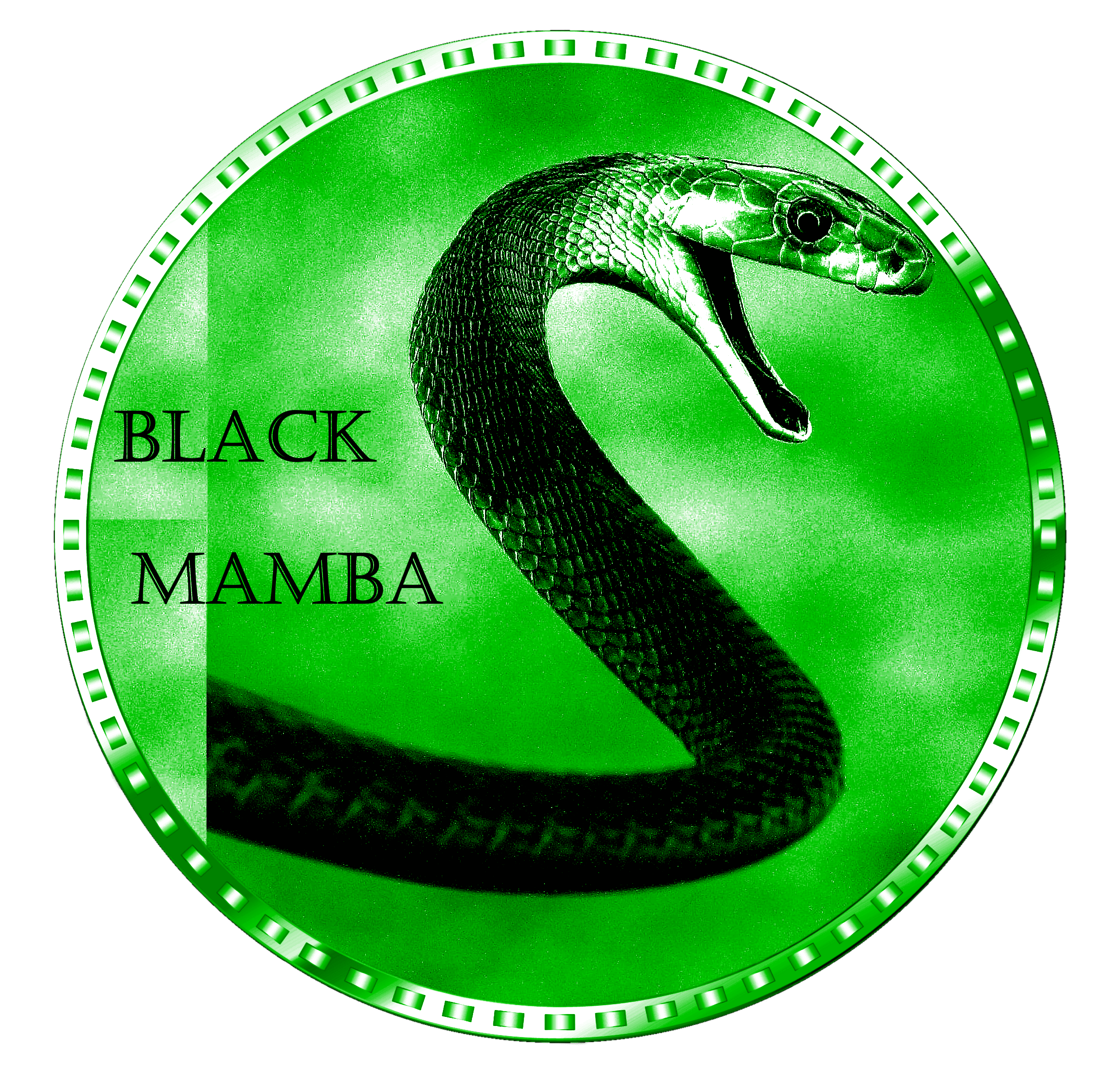 Black Mamba Coin