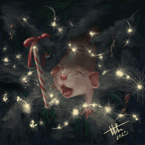 Happy New Rat | Penka