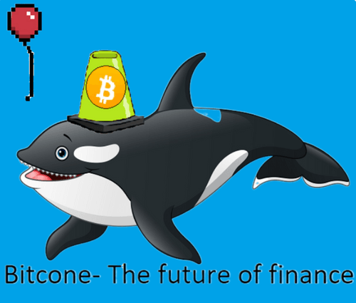 Bitcone Whales