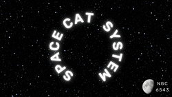 Space Cat System collection image