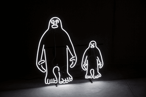 The Bigfoot Project