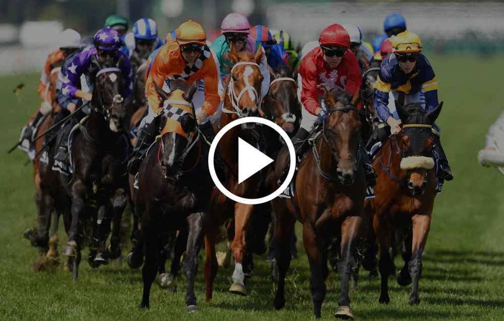 (FREE HD) 2022 Melbourne Cup Live Horse Racing Free 1st November