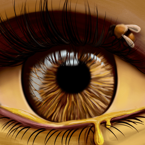 Bee eye