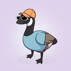 Honk #4784