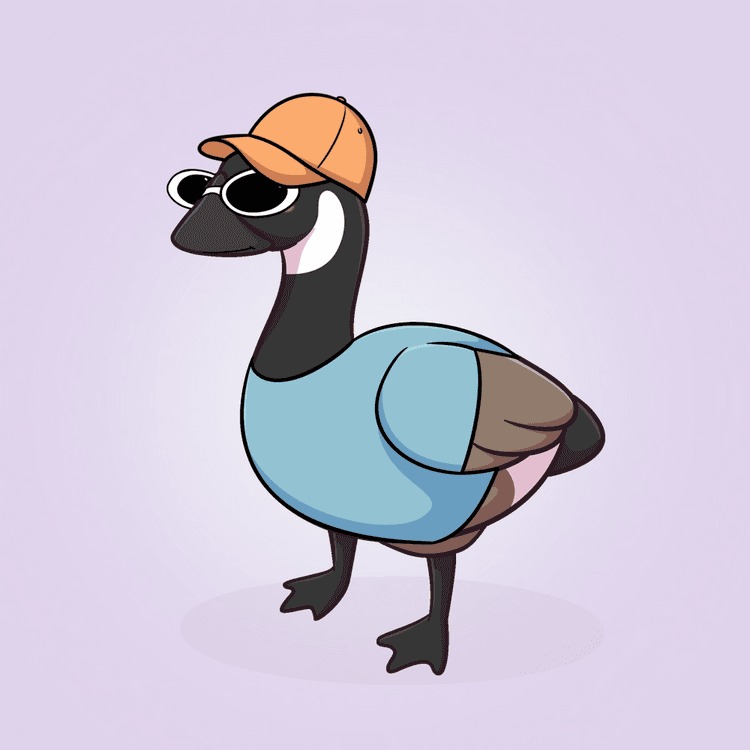 Honk #4784