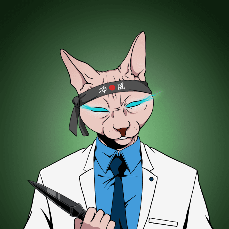 YakuzaCat 572 The Yakuza Cat Official OpenSea