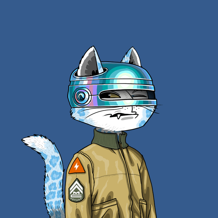 Mars Cat #2754