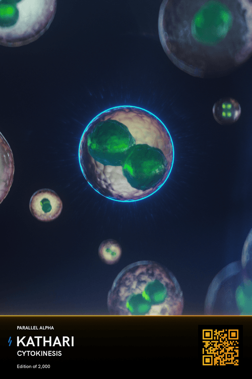 Cytokinesis, 20