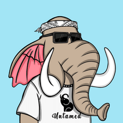 Untamed Elephant #6012