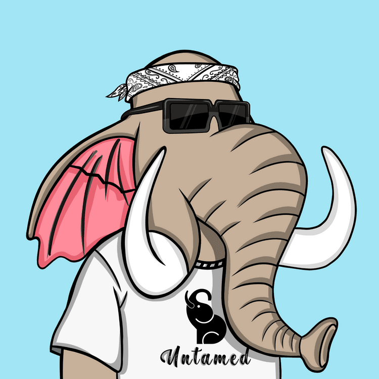 Untamed Elephant #6012