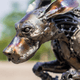 Animal metal art - old