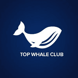 Top Whale Club collection image