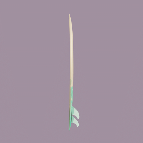 Coco Ho Surfboard (Series 1) #0227