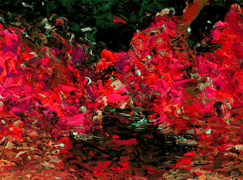 A Sea of Flower Petals #11