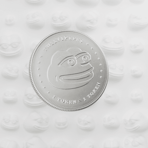 TwelVIPepes Silver Coin