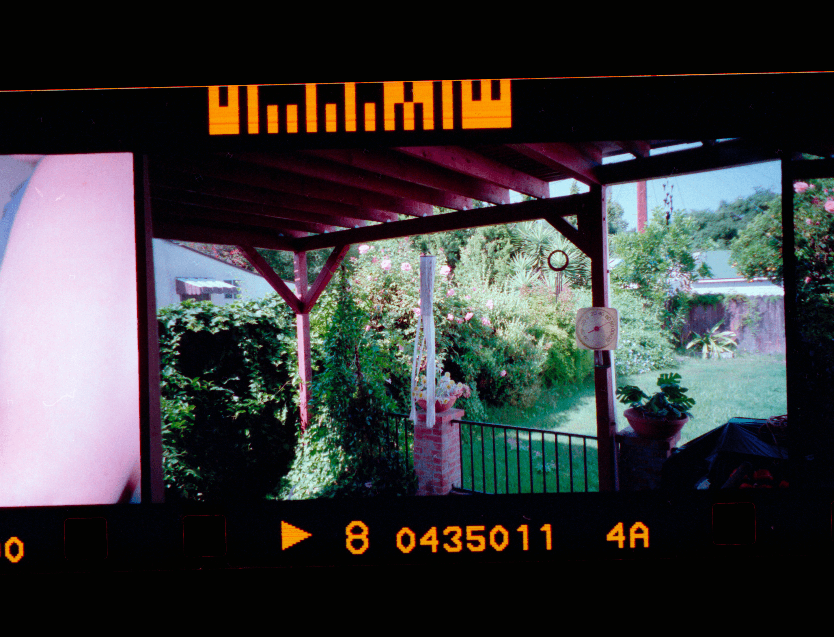 Kodachrome #656
