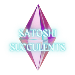 Satoshi Succulents NFT collection image