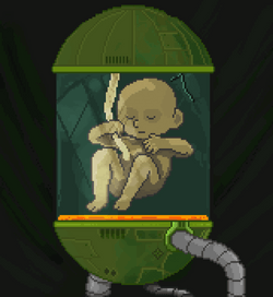 GREEN GENESIS BABY collection image