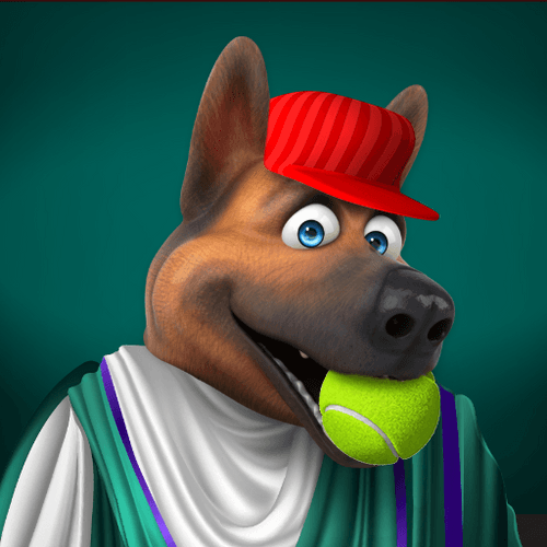 Swaggy Dog Dash