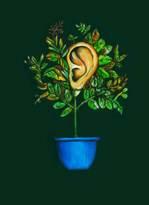 BLOOM Editions by Simron Magimai Raj