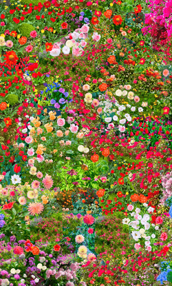 FLOWERS collection image