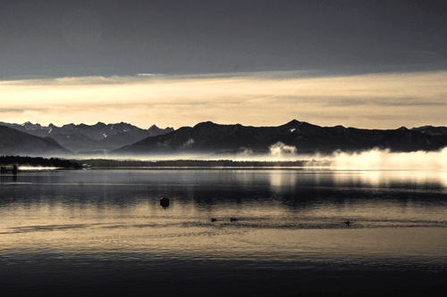 # Morning Fog