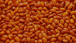 Beans collection image