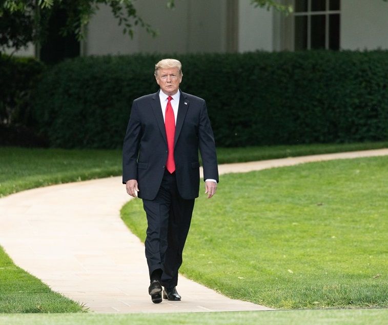 Trump Digital Trading Cards