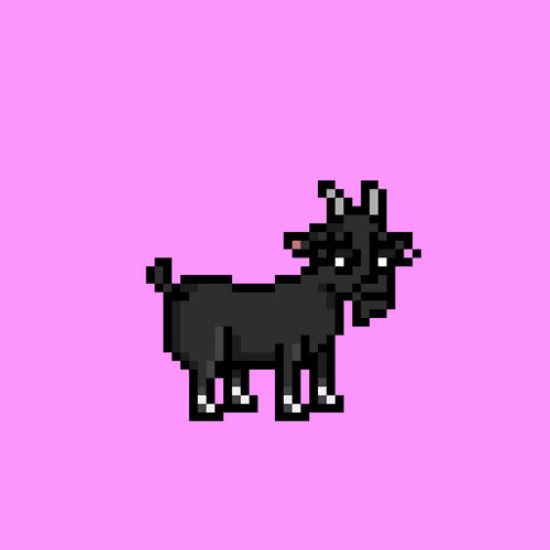Goat #791
