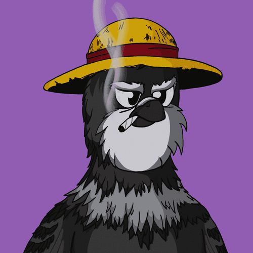 Wicked Pigeons