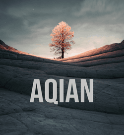 AQIAN Editions collection image