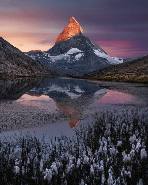 Editions by Fabio Antenore