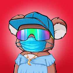 Koala Agent #2255