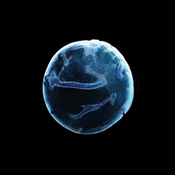 diatom; origins collection image